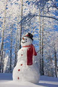 Snowman With Red Scarf And Black Top Hat Standing Wall Mural