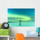 Southcentral Alaska Wall Mural