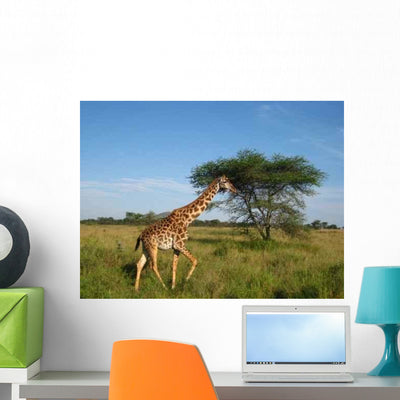 Giraffe 2 Wall Decal shown on a wall