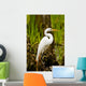 Snowy Egret and Cypress Wall Mural