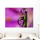 Extreme macro view of fireweed bloom magnified Wall Mural