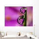 Extreme macro view of fireweed bloom magnified Wall Mural