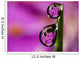 Extreme macro view of fireweed bloom magnified Wall Mural