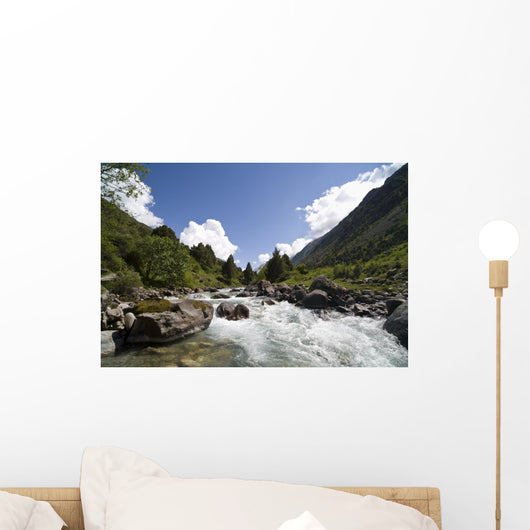 River and mountains Wall Mural