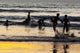 India, Karnataka, Blurry Figures In Crashing Waves At Gokarna Beach Wall Mural