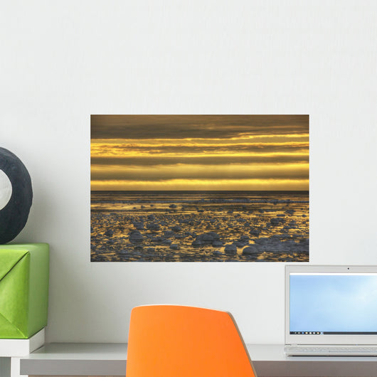 Sunrise over an ice filled bay of hudson's bay;Manitoba canada Wall Mural