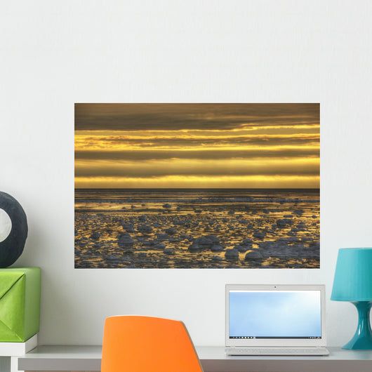 Sunrise over an ice filled bay of hudson's bay;Manitoba canada Wall Mural