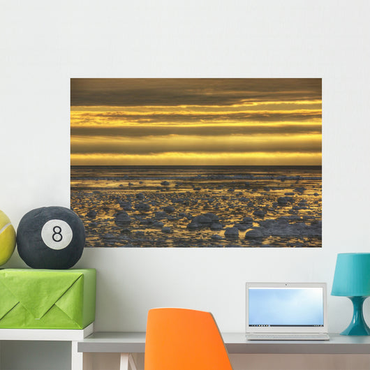 Sunrise over an ice filled bay of hudson's bay;Manitoba canada Wall Mural