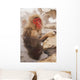 in mountains of central Japan Wall Mural