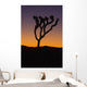 Silhouette of a joshua tree at sunset Wall Mural