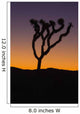 Silhouette of a joshua tree at sunset Wall Mural