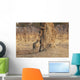 Africa, Zimbabwe, Hwange National Park, On Safari, Jaguar By Tree Wall Mural