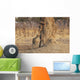 Africa, Zimbabwe, Hwange National Park, On Safari, Jaguar By Tree Wall Mural