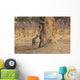 Africa, Zimbabwe, Hwange National Park, On Safari, Jaguar By Tree Wall Mural