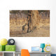 Africa, Zimbabwe, Hwange National Park, On Safari, Jaguar By Tree Wall Mural