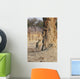Africa, Zimbabwe, Hwange National Park, On Safari, Jaguar By Tree Wall Mural