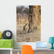 Africa, Zimbabwe, Hwange National Park, On Safari, Jaguar By Tree Wall Mural