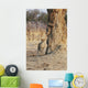 Africa, Zimbabwe, Hwange National Park, On Safari, Jaguar By Tree Wall Mural