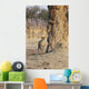 Africa, Zimbabwe, Hwange National Park, On Safari, Jaguar By Tree Wall Mural