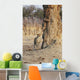 Africa, Zimbabwe, Hwange National Park, On Safari, Jaguar By Tree Wall Mural