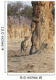 Africa, Zimbabwe, Hwange National Park, On Safari, Jaguar By Tree Wall Mural