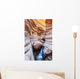 Flowing Stream Among Amazing Rock Formations Wall Mural