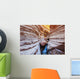 Flowing Stream Among Amazing Rock Formations Wall Mural