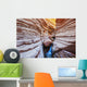 Flowing Stream Among Amazing Rock Formations Wall Mural