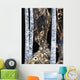 An Abstract Watercolor Painting Of A Forest Wall Mural