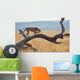 A cheetah on a tree;Maasai mara kenya Wall Mural
