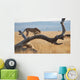 A cheetah on a tree;Maasai mara kenya Wall Mural