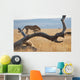 A cheetah on a tree;Maasai mara kenya Wall Mural