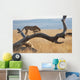 A cheetah on a tree;Maasai mara kenya Wall Mural