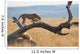 A cheetah on a tree;Maasai mara kenya Wall Mural