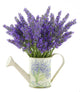 Scent of Lavender Wall Decal