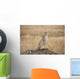 A cheetah sits alert Wall Mural