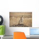 A cheetah sits alert Wall Mural