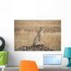 A cheetah sits alert Wall Mural