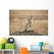 A cheetah sits alert Wall Mural