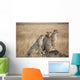 Three cheetahs standing together with a watchful eye Wall Mural