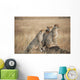 Three cheetahs standing together with a watchful eye Wall Mural