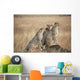 Three cheetahs standing together with a watchful eye Wall Mural