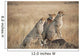 Three cheetahs standing together with a watchful eye Wall Mural