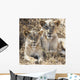 Two female lions sitting Wall Mural