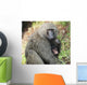 A monkey with it's baby Wall Mural