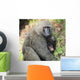 A monkey with it's baby Wall Mural