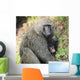 A monkey with it's baby Wall Mural
