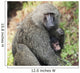 A monkey with it's baby Wall Mural