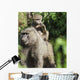 A monkey and it's baby sitting on her back Wall Mural