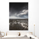 Rippled sand under a dark cloud Wall Mural